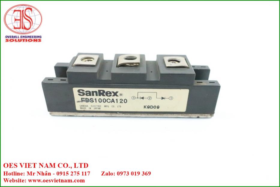 Bộ chỉnh lưu công suất sạc Sanrex  1 pha100A